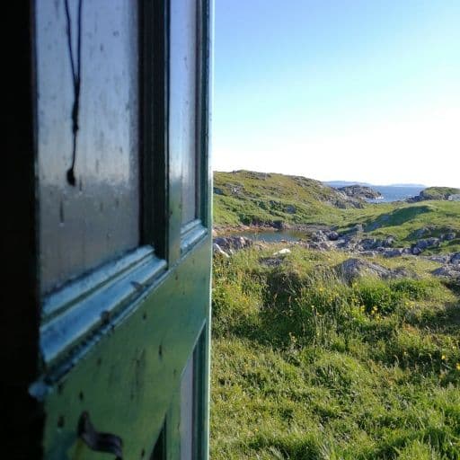 Why I Keep Going Back to Newfoundland