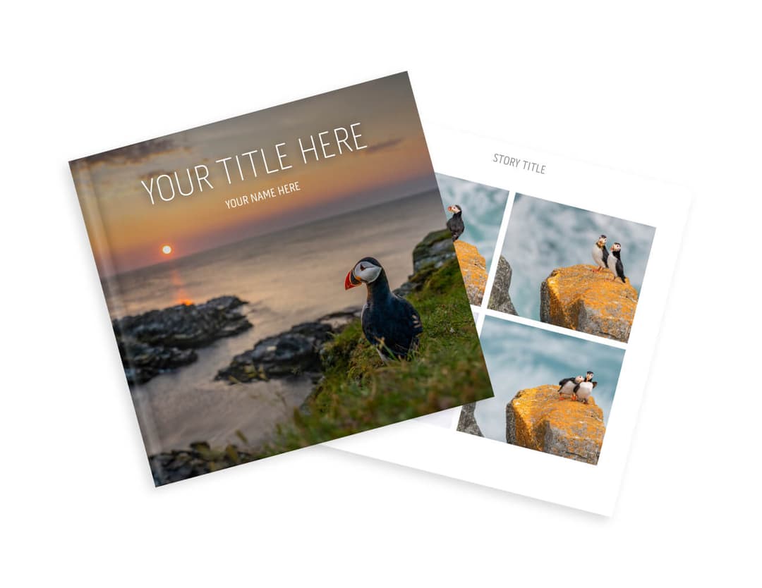 Create your own storybook