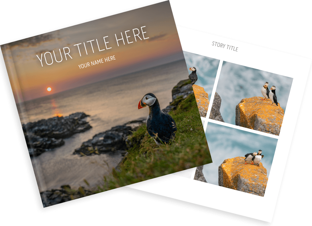 Create your own storybook